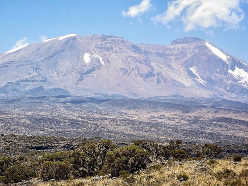 Kilimanjaro Climb - Lemosho Route